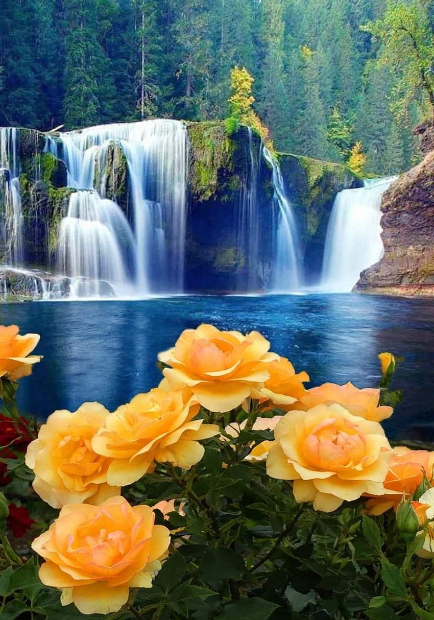Cristina Sáenz on 1Moon&Sea&Roses (by fb My Anh). Beautiful gif, Beautiful  nature, Beautiful flowers, Flower Waterfall HD phone wallpaper | Pxfuel