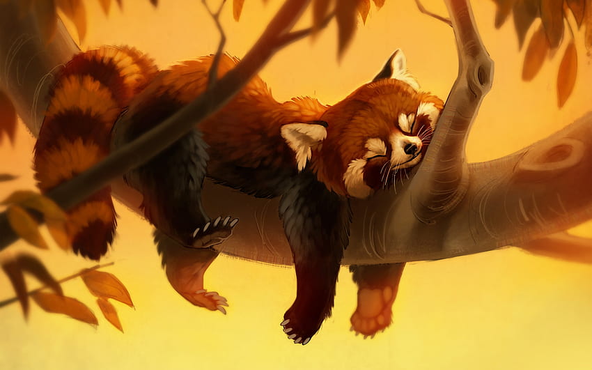 Panda merah tidur, hewan, panda merah, seni, fantasi, kuning, amelia bothe, oranye, tidur, tidur siang Wallpaper HD