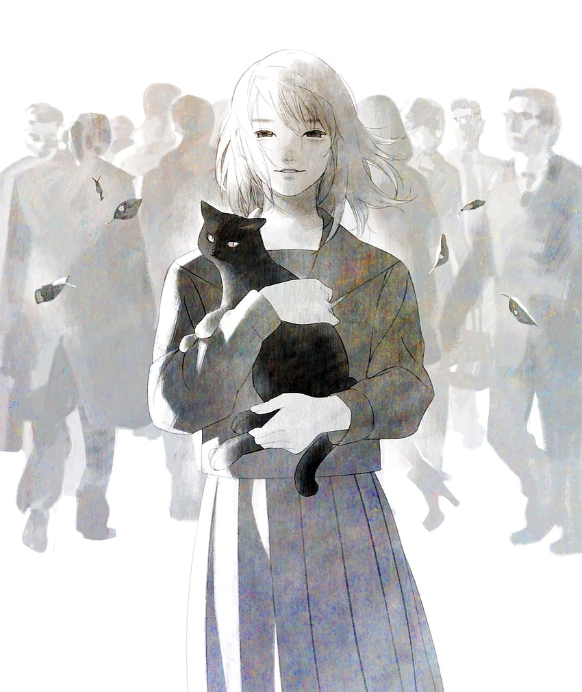 애니메이션, 아트, 고양이, 군중, Animeshka HD 전화 배경 화면