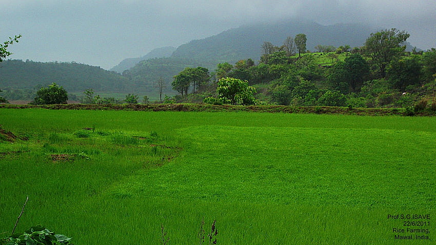 Landwirtschaft . Landwirtschaft, landwirtschaftlicher Bauernhofhintergrund und landwirtschaftlicher Hintergrund, indischer Bauer HD-Hintergrundbild