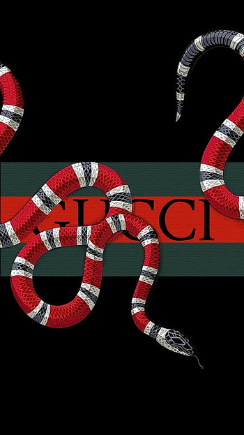 Gucci Snake Logo HD phone wallpaper | Pxfuel