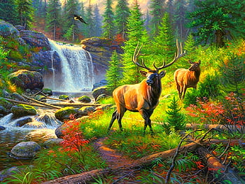 Deer at waterfall HD wallpapers | Pxfuel