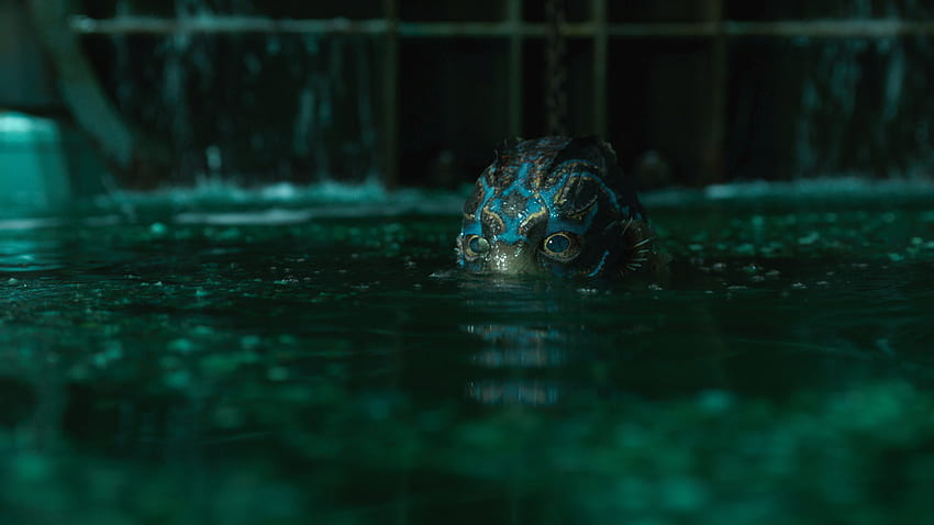 Guillermo del toro's new movie is a fairy tale for troubled times - VICE Video: Documentaries, Films, News Videos, The Shape of Water HD wallpaper