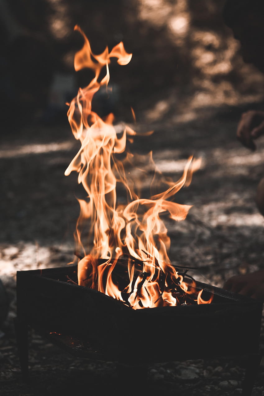 Fire, Bonfire, Dark, Flame, Barbecue, Brazier HD phone wallpaper