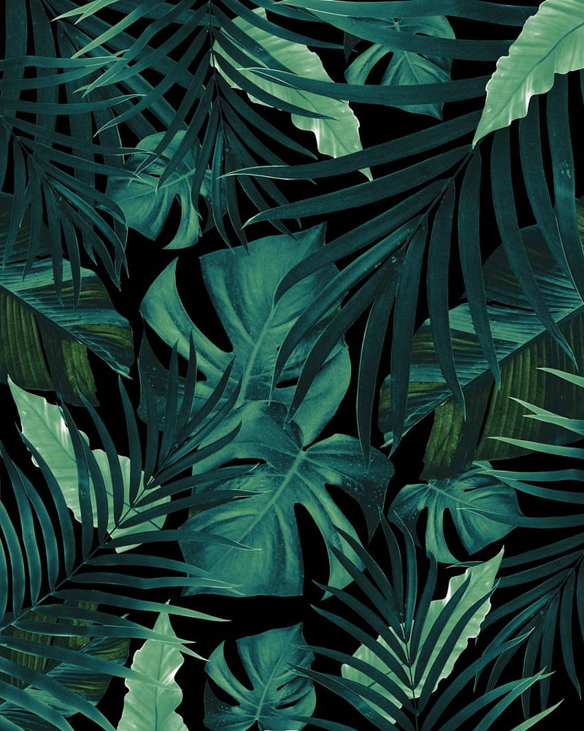 Tropical Jungle Night Leaves Pattern HD phone wallpaper