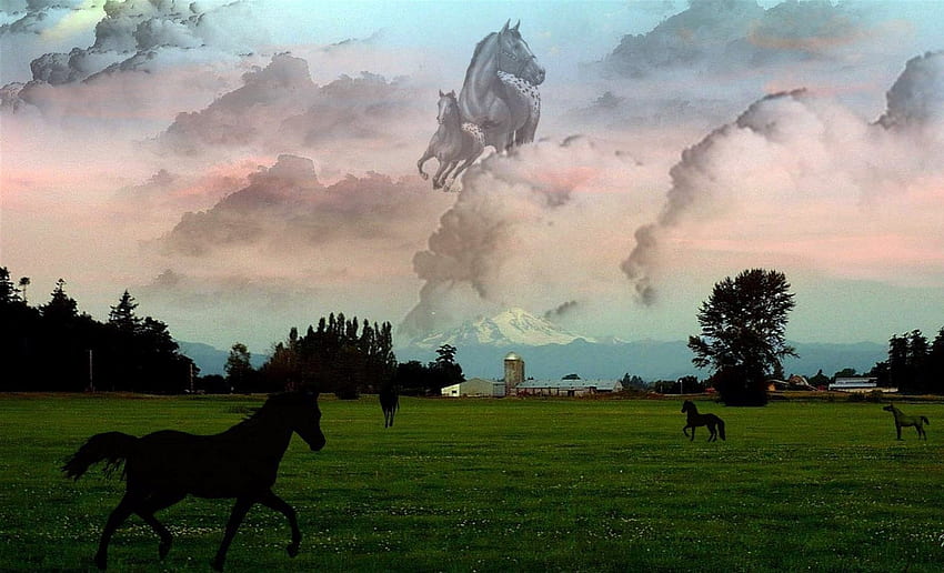 Ghost Horse, Animals, Grass, Ghost, Horses, Clouds, Sky HD wallpaper