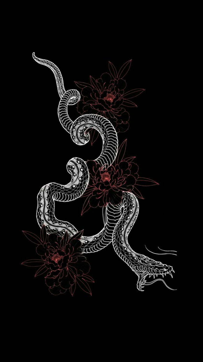 Aesthetic snake HD wallpapers  Pxfuel