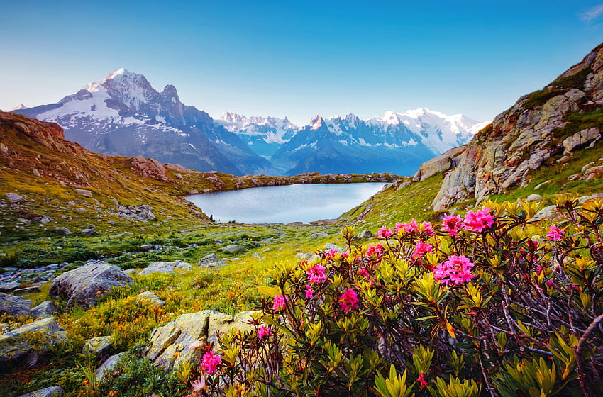Wielki lodowiec Mont Blanc z Lac Blanc, jeziorem, górą, lodowcem, polne kwiaty, widok, piękny Tapeta HD