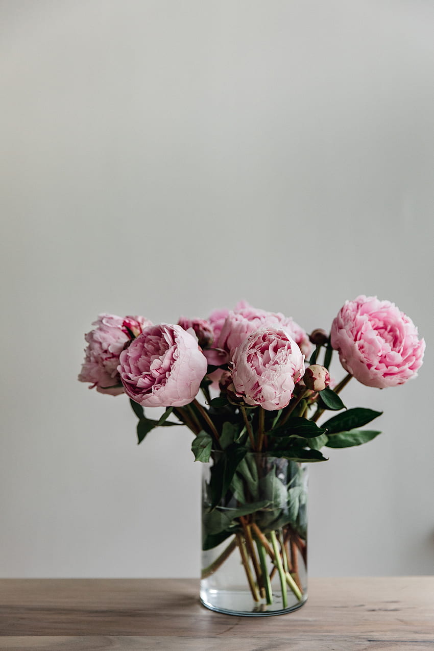 Flowers, Pink, Peonies, Bouquet, Vase HD phone wallpaper