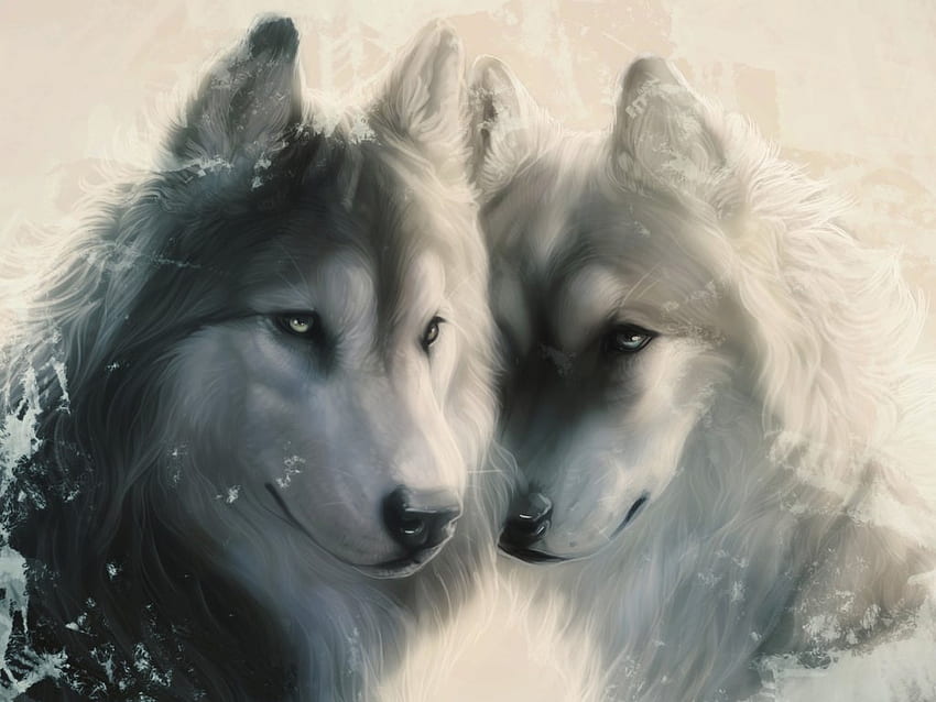 オオカミのカップル、動物、カップル、オオカミ、雪 高画質の壁紙