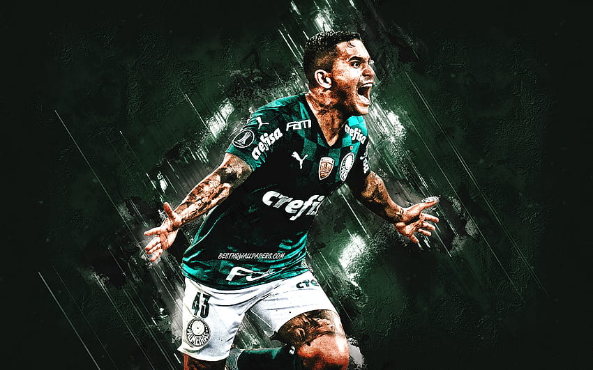Dudu, Palmeiras, brazylijski piłkarz, pomocnik, zielone kamienne tło, Serie A, piłka nożna Tapeta HD