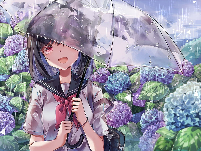 Anime School Girl, Transparent Umbrella, Anime Flower HD wallpaper