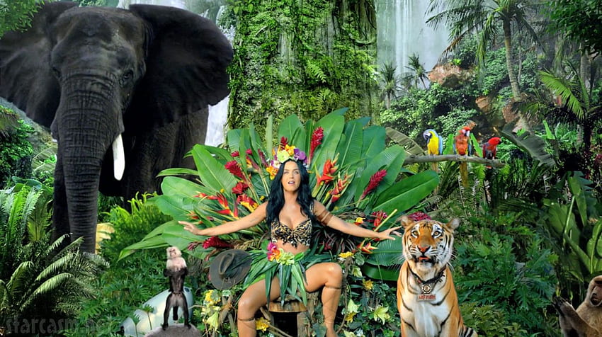 Katy Perry's full Roar music video HD wallpaper