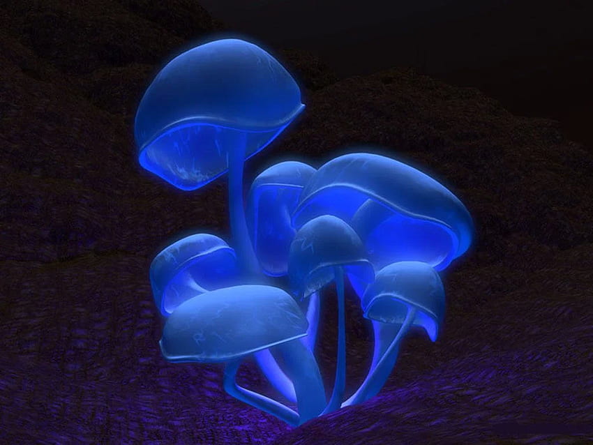 background Background 3D グラフィックス マジック マッシュルーム 3D。 きのこの詰め物、海の植物、海の植物、青きのこ 高画質の壁紙