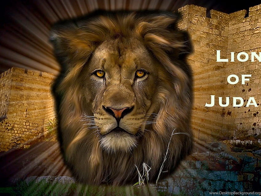 Jesus Lion HD wallpaper | Pxfuel