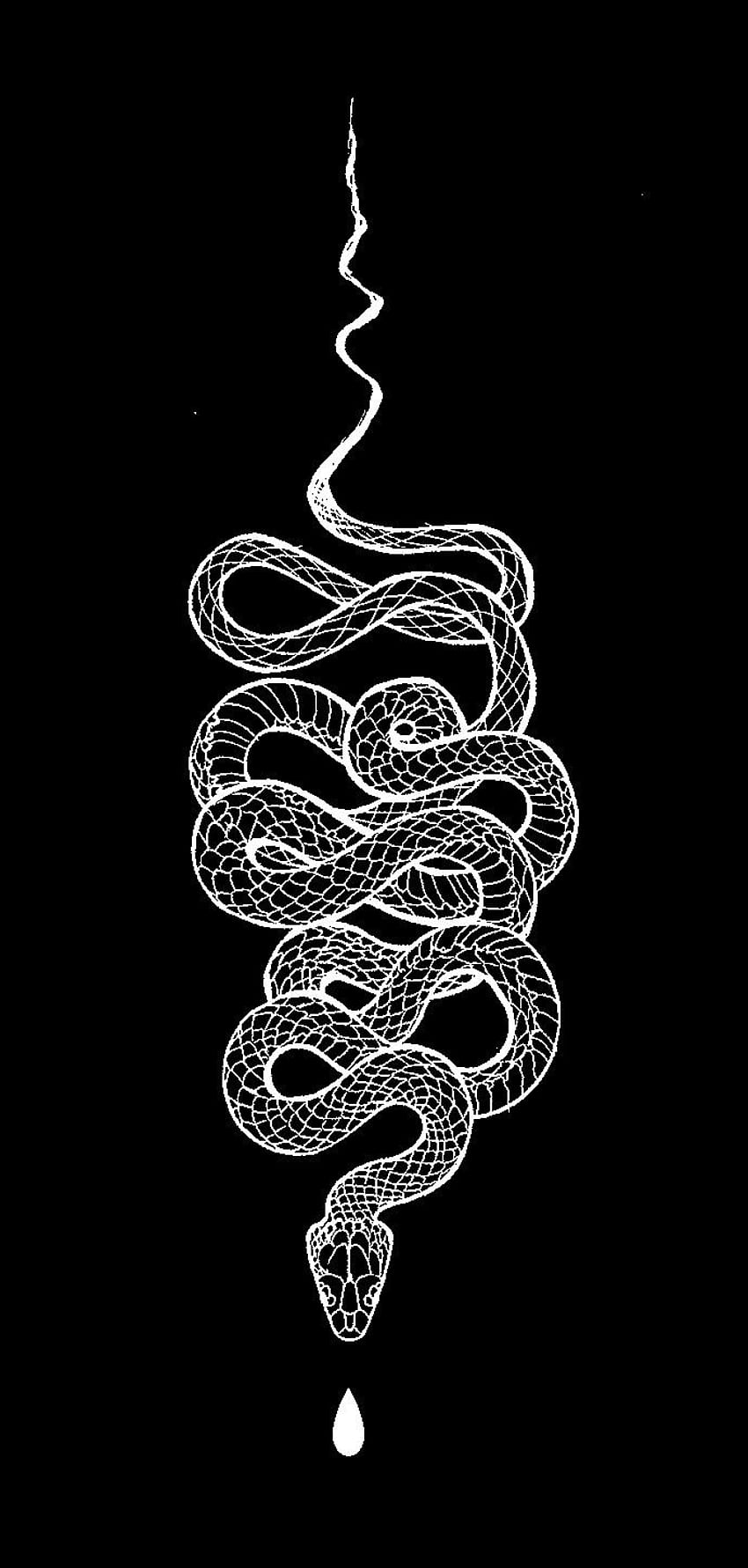 Змей на заставку телефона. Змейка на черном фоне. Змеи на заставку. Змея на заставку телефона. Эстетика змей.