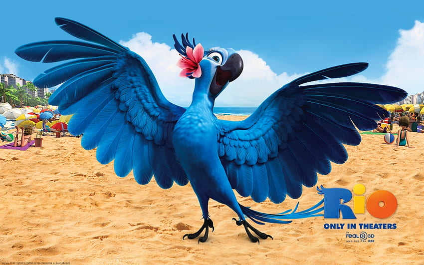 Cartoon, Vögel, Papageien, Rio HD-Hintergrundbild