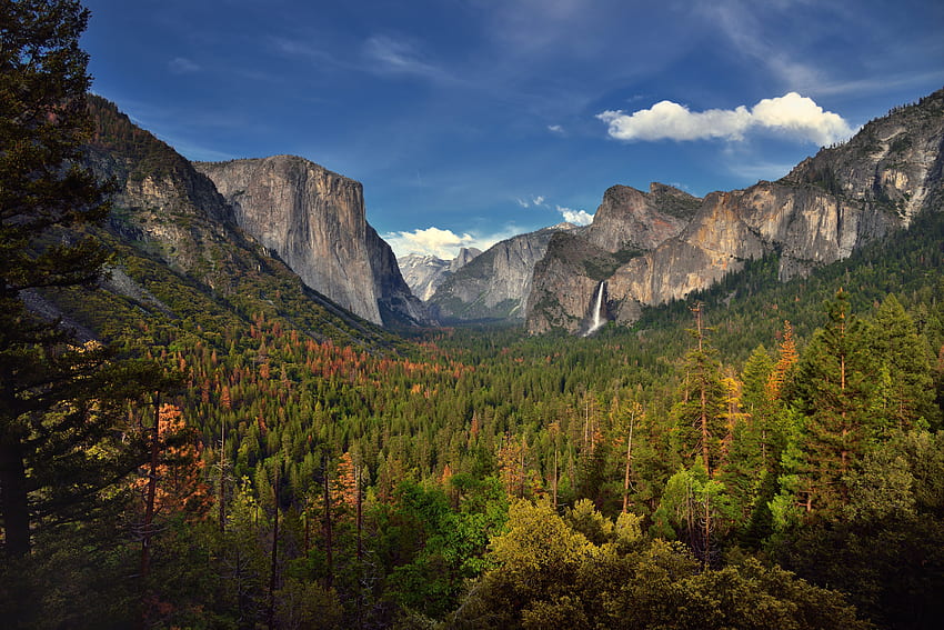 Green tree covered mountain, yosemite valley, yosemite national park HD ...