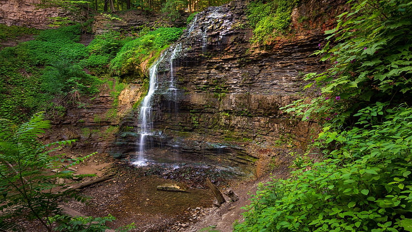 One of the many waterfalls of Hamilton, Ontario, trees, cascades, river, rocks, canada HD wallpaper