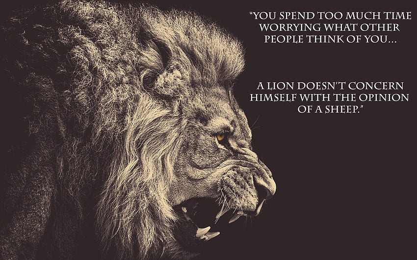 cat to lion motivation - power. Quotes, Spartan Quote HD wallpaper