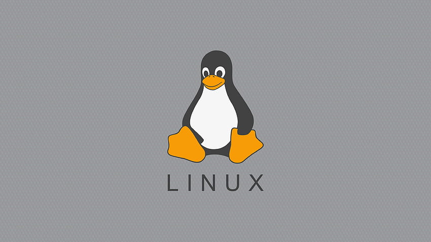Linux Tux minimalista: Linuxmint fondo de pantalla