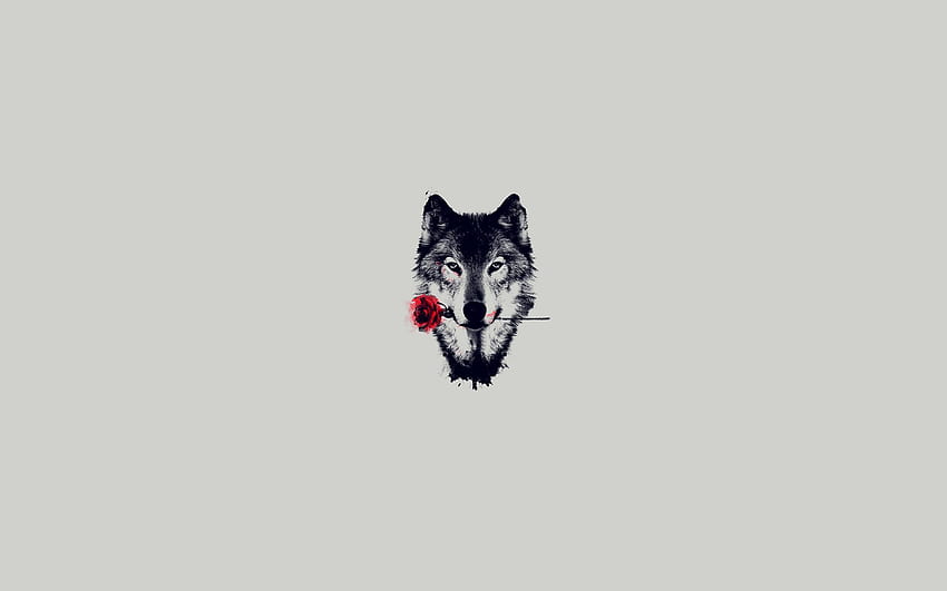 Wolf Drawing . best Wolf Drawing, Cute Abstract Wolf HD wallpaper