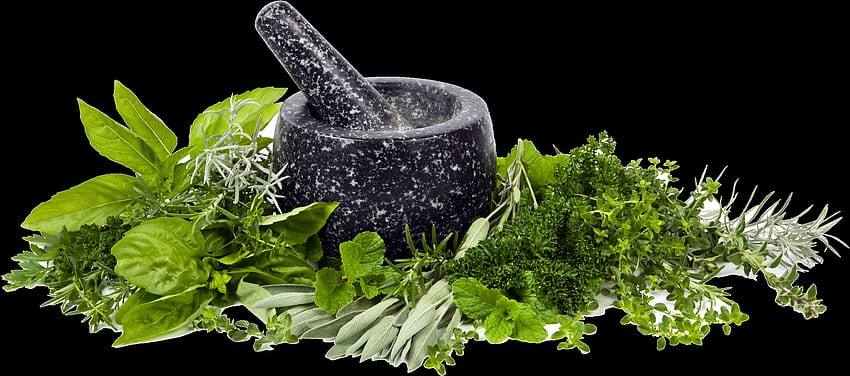 herb png - Herb High Quality Png - Ayurvedic Medicine Png, Ayurveda HD wallpaper