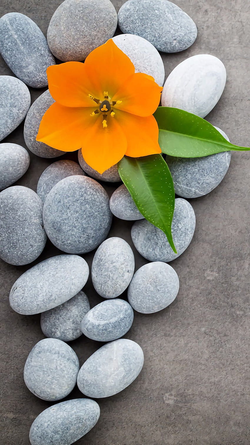 Stone and flower. Quotes / Phone . Love, Zen Flowers HD phone wallpaper