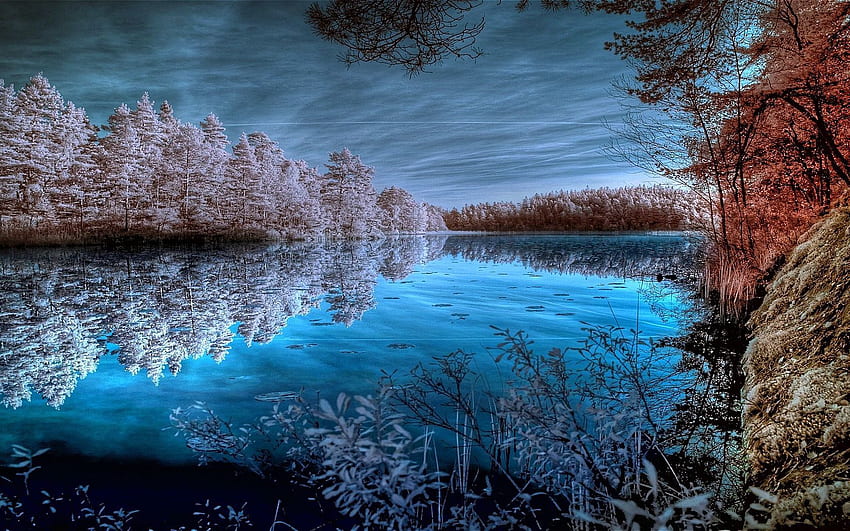 Nature, Trees, Sky, Lake, Reflection, Color, Colors, Frost, Hoarfrost, Cold, Shades HD wallpaper