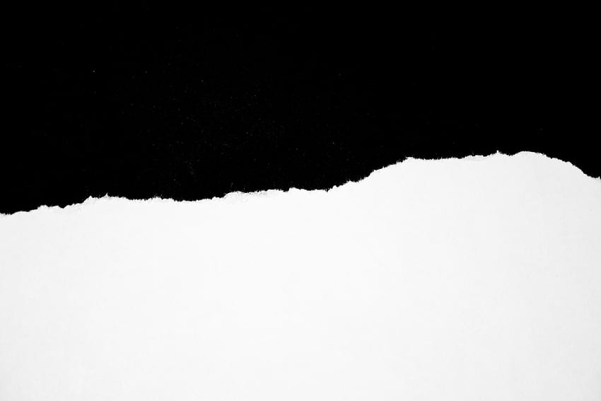 Zerrissenes weißes Papier, zerrissenes Papier HD-Hintergrundbild