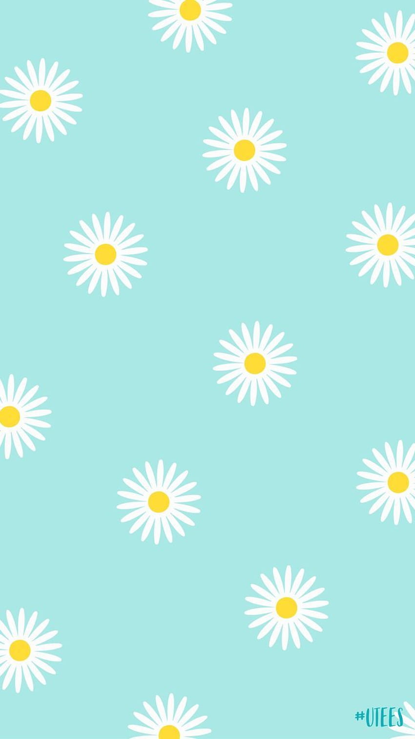 Cute Sunflower Backgrounds HD  PixelsTalkNet