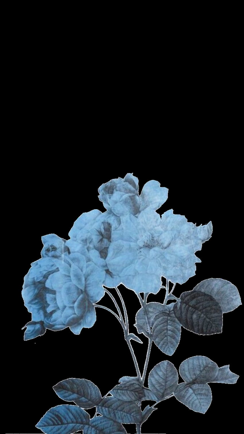 Transparent blue flowers. Blue , Everything is blue, Blue aesthetic ...