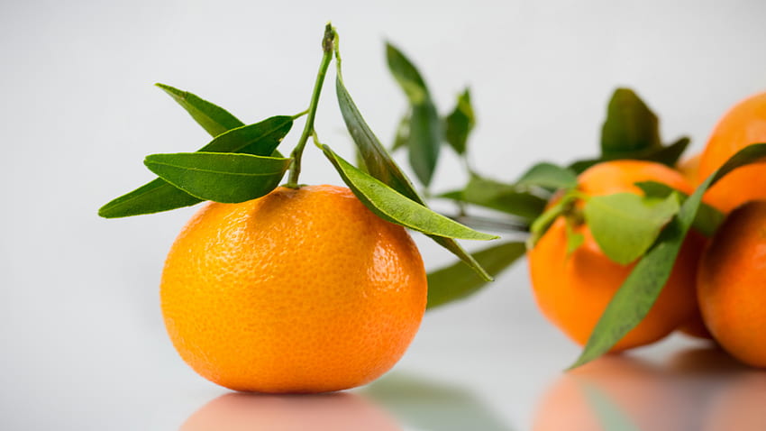 Food, Leaves, Tangerines, Citrus HD wallpaper