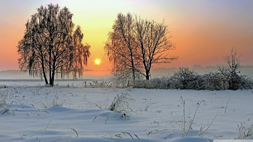 Зимен изгрев, зима, сцена, слънчева светлина, пейзаж, , изгрев, зора, светлина, поле, сняг, природа, слънце, залез HD тапет