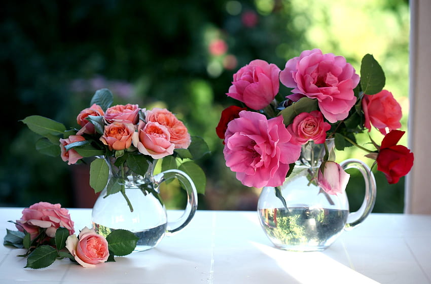 flores, rosas, buquês, janela, jarros papel de parede HD