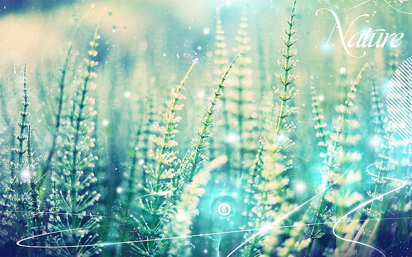 Nature, Grass, Shine, Light, Lines, Inscription, Processing, Treatment HD wallpaper