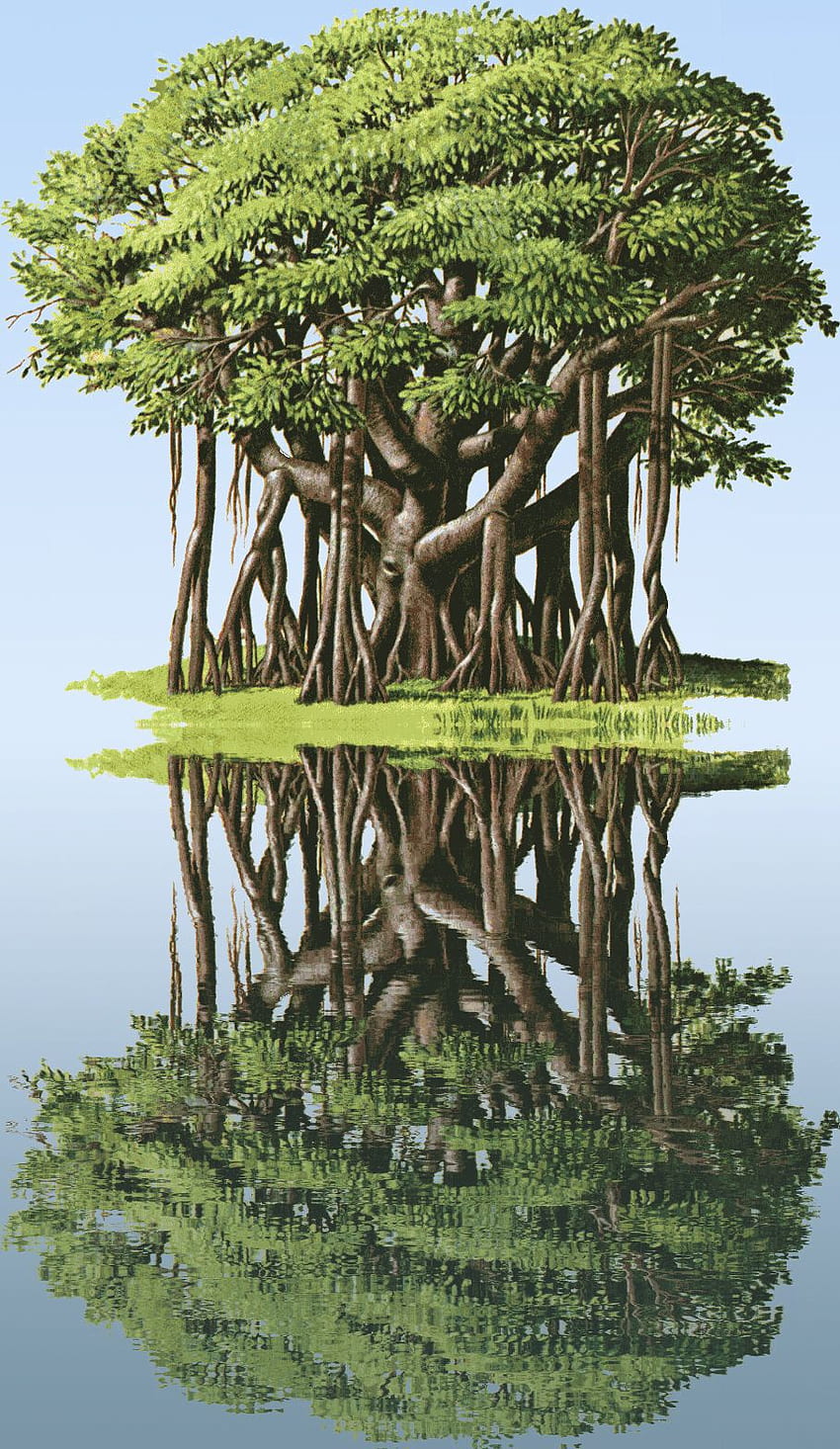 Tree worship and tree of wise ancestors' spirits. Banal thoughts of a babbling mindtree, Banyan Tree HD phone wallpaper