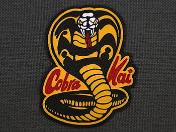 When Will Netflix's Cobra Kai Season 3 Release? in 2021. Cobra kai ...