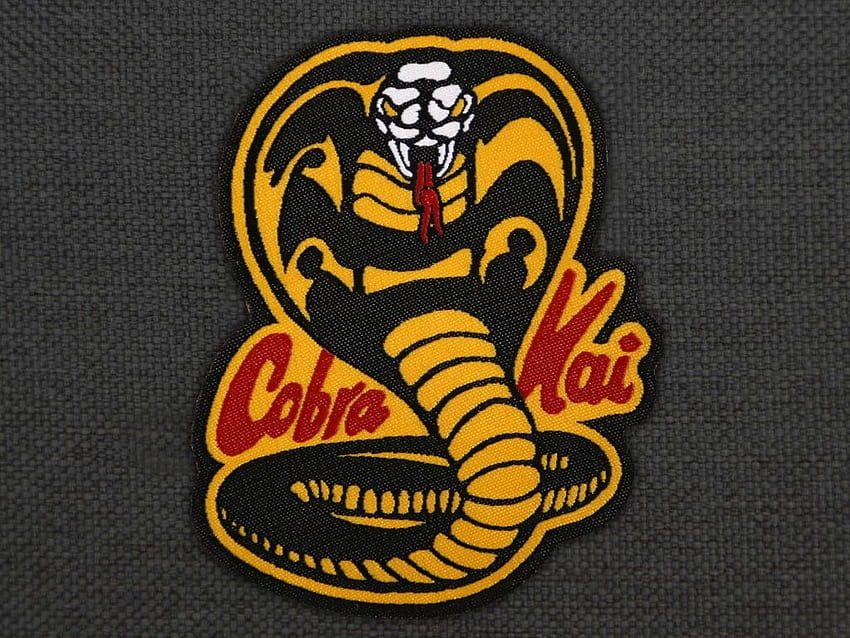 Cobra Kai Wallpapers  Top Free Cobra Kai Backgrounds  WallpaperAccess