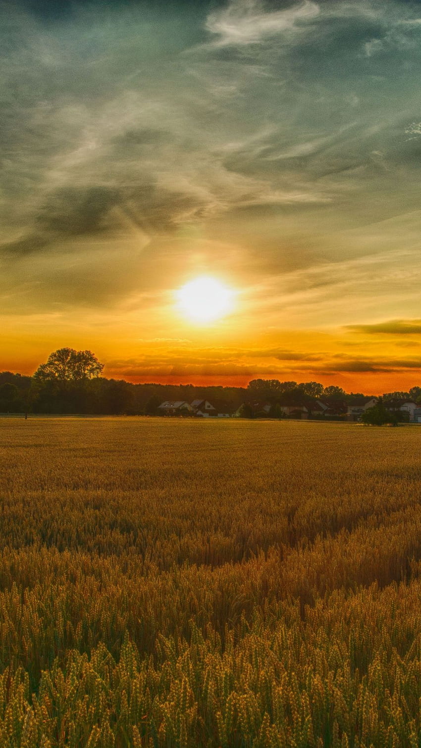 Summer, sunset, farm, landscape, nature, . Sunset landscape graphy, Farm scenery, Sunset landscape HD phone wallpaper