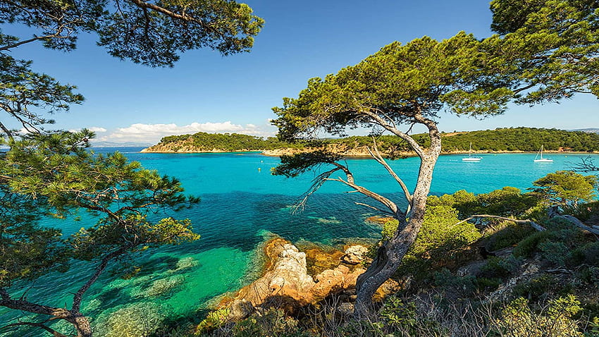 View on the sea, Croatia, mediterranean, sky, rocks, tree HD wallpaper