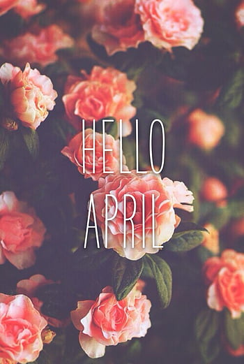 hello april pictures