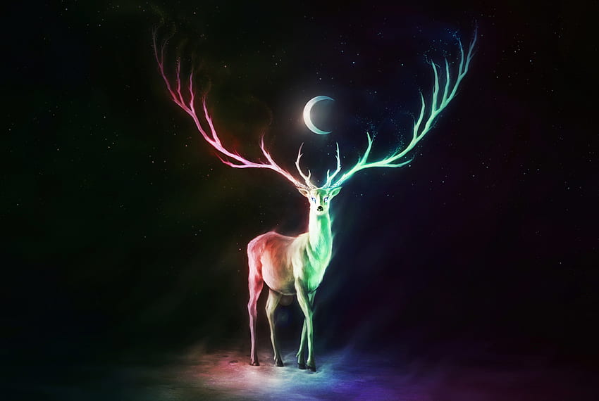 Balance of life, deer, colorful horns, fantasy, art HD wallpaper
