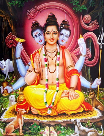 Top Best Lord Dattatreya . Datta Guru (). All god , Hindu deities, Hindu  gods, Gurudev Datta HD phone wallpaper | Pxfuel