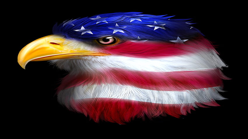 patriot, american, eagle, we the people, flag, usa HD wallpaper