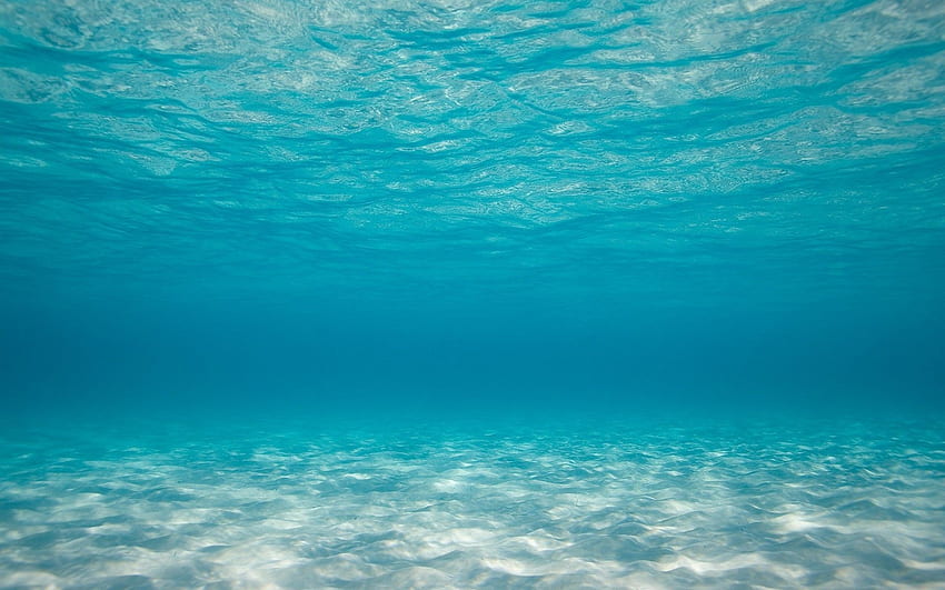 Under Water . Water , Underwater and Samsung Water, Underwater Summer HD wallpaper