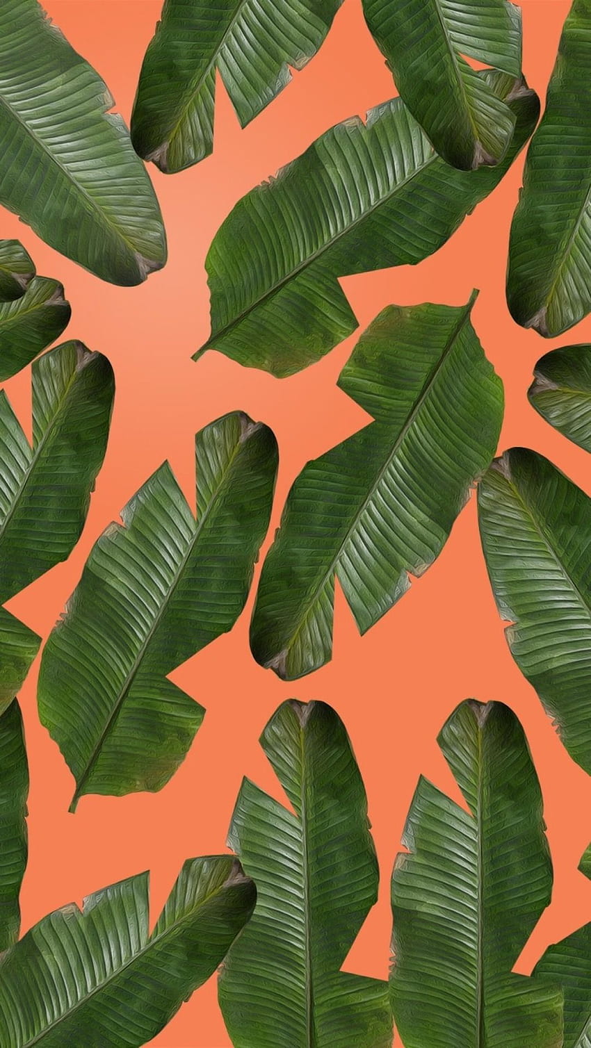 Banana Leaf Wallpaper Images  Free Download on Freepik