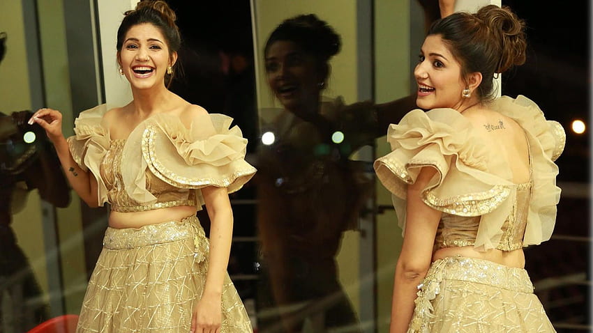Sapna Xxx Video Full - Haryanvi Sensation Sapna Choudhary Looks Gorgeous In This Golden Coloured  Lehnga Choli!. Hindi Movie News Bollywood Times Of India HD wallpaper |  Pxfuel