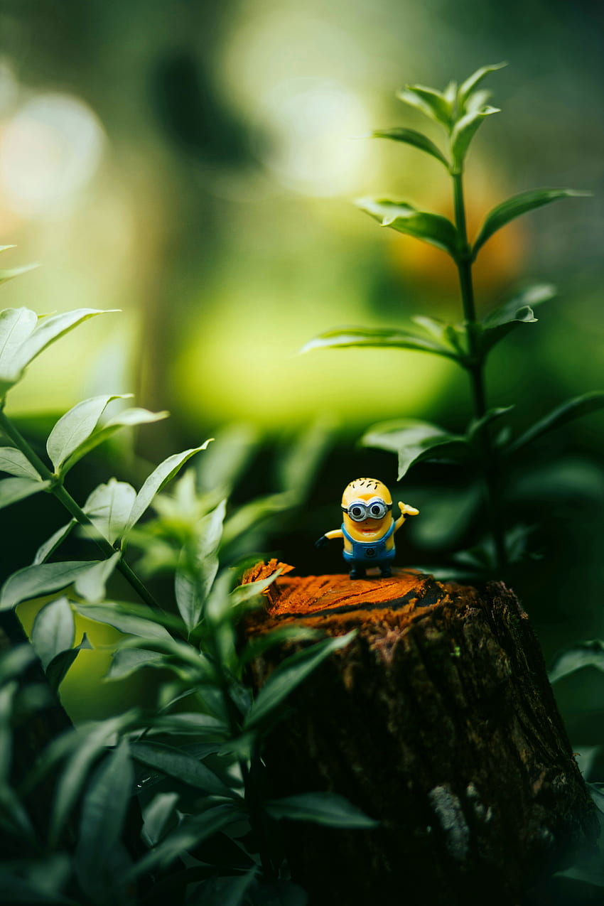 Minion Toy, movies, people_in_nature, sunlight, toys, minions HD phone wallpaper