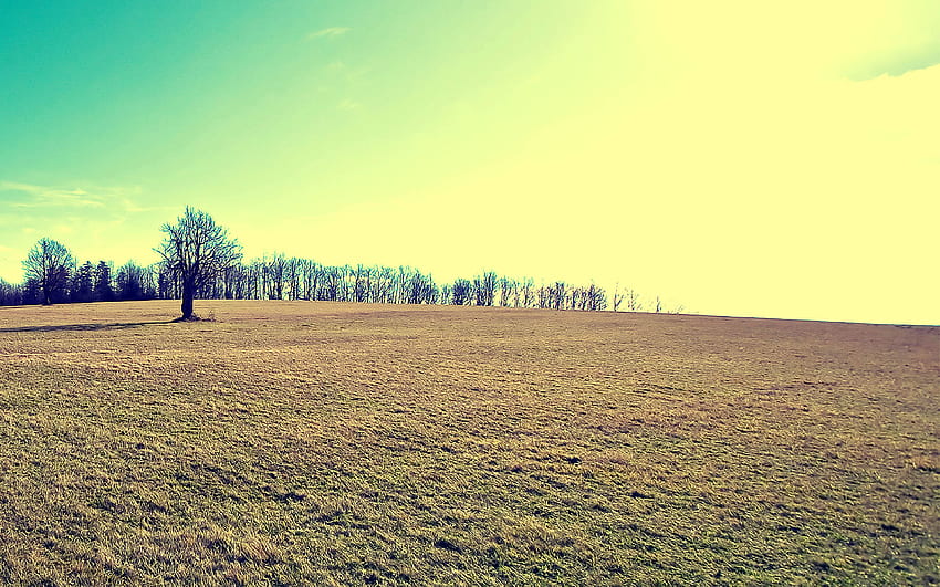 Autumn Fall Field Green, Plain Autumn HD wallpaper